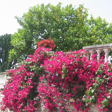 Ca Dei Conti Villa Сан Бартоломео ал Маре Стая снимка