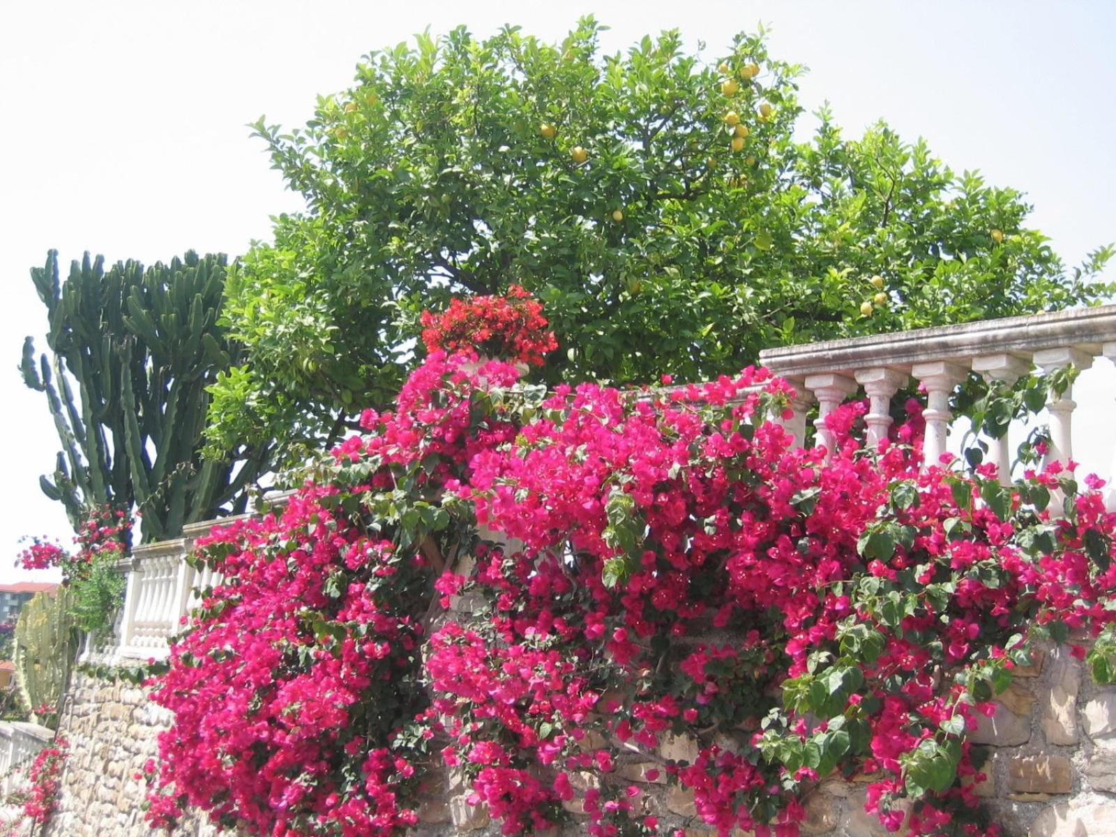 Ca Dei Conti Villa Сан Бартоломео ал Маре Стая снимка